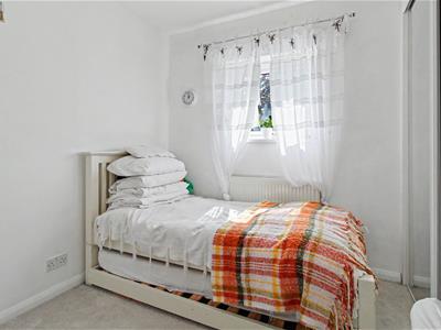 Picture 11